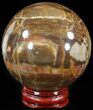 Colorful Petrified Wood Sphere #49765-1